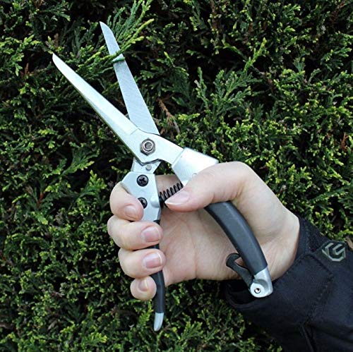 Darlac Compact Shear – Lightweight Shears for Gardening – Longer & Broader Blades for Tackling Heavier Growth - Razor Sharp SK5 High Carbon Steel Blades – Non-Slip Grip Easy to Use Single-Handed