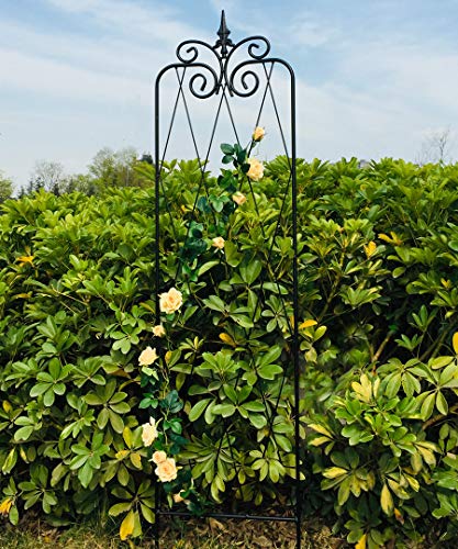 OUTOUR Metal Garden Trellis 2 Pack Wire Lattice Grid Panels for Rose Vines, Climbing Plants, Flower, Vegetables, Cucumber, Vegetables, Clematis Support, Outdoor Patio Lawn Yard Decoration