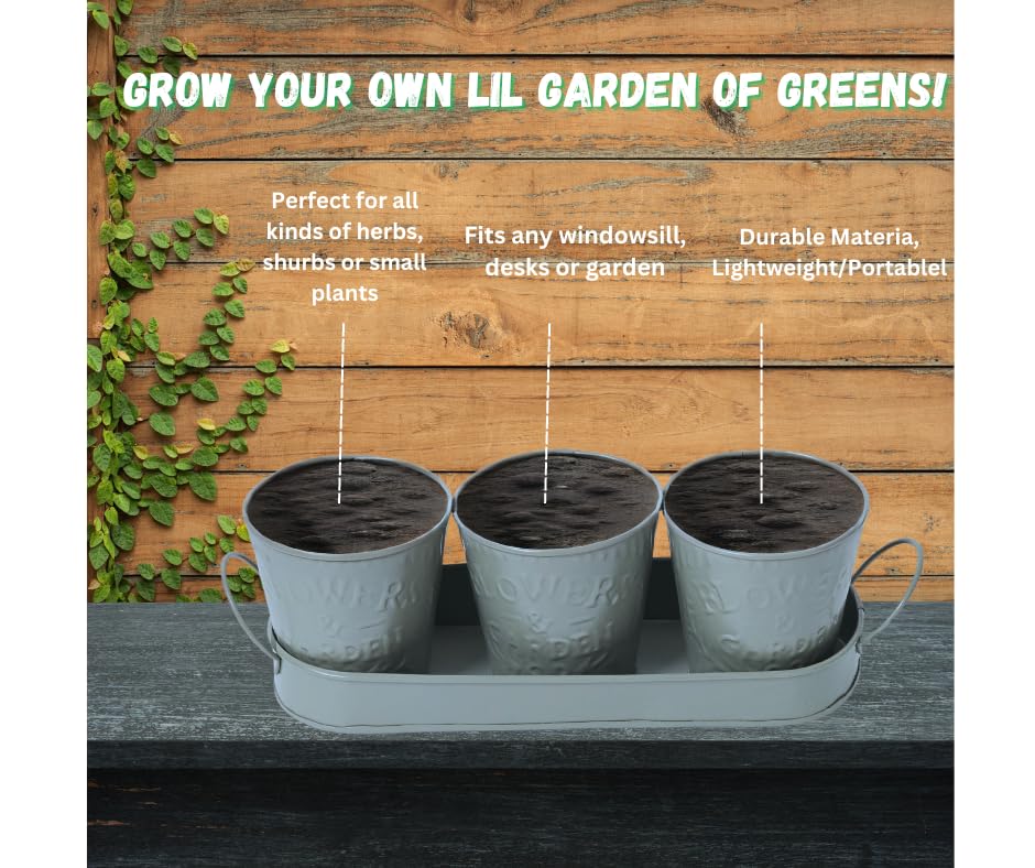 Trendi – Set of 3 Metal Plant Pots with Drip Tray | Embossed Indoor & Outdoor Plant Pots for Garden, Windowsill, Kitchen & Desk | Decorative Metal Flower Pots for Herbs & Plants | Light Green