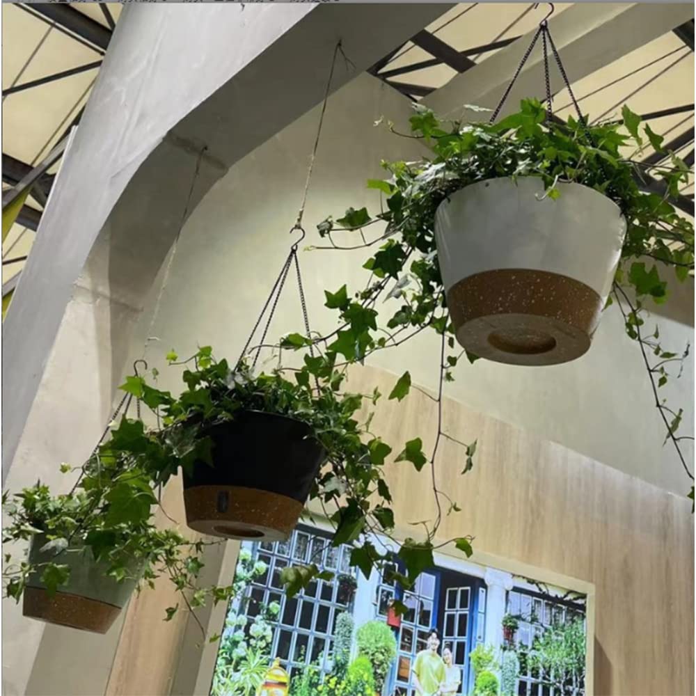 3 Pack Hanging Planters Set,8 Inch Indoor Outdoor Hanging Plant Pot Basket,Plant Flower Pot with Visible Water Level Tray Drainage Hole, Self Watering Planters Come with 3 Hooks for Garden Home