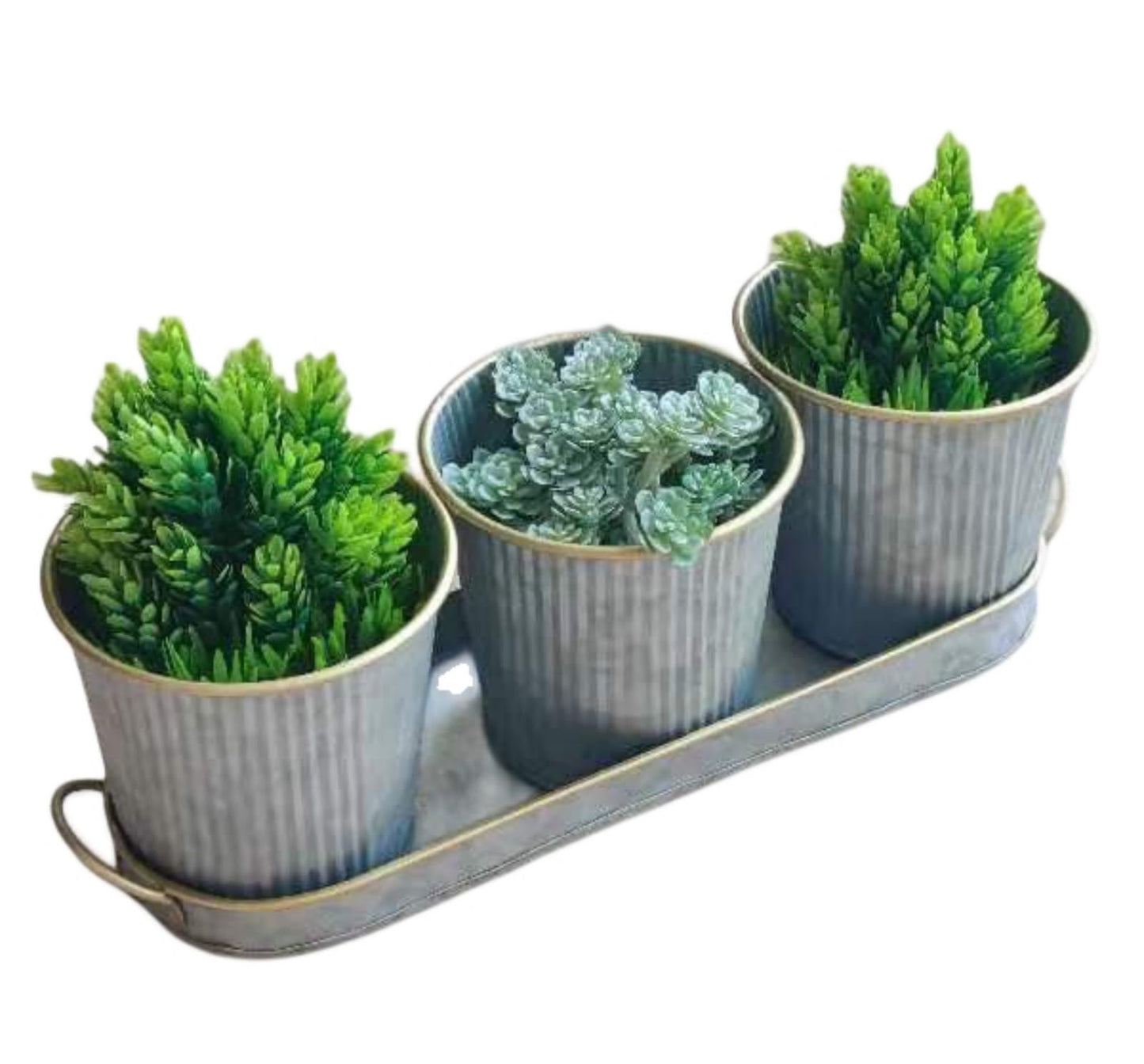 Dipamkar Set of 3 Galvanized Windowsill Herb Pots Metal Herb Planters Wth Saucer for Kitchen Window Indoor and Outdoor Use