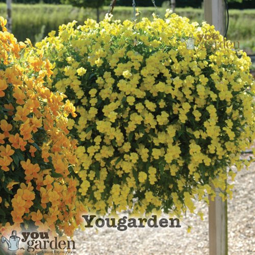 Set of 4 x 15" Easy fill Hanging Baskets