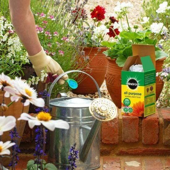 Miracle Gro All Purpose Soluble Plant Food 1kg - 20% Extra Free