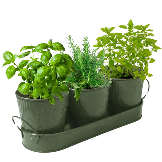 Trendi – Set of 3 Metal Plant Pots with Drip Tray | Embossed Indoor & Outdoor Plant Pots for Garden, Windowsill, Kitchen & Desk | Decorative Metal Flower Pots for Herbs & Plants | Olive Green