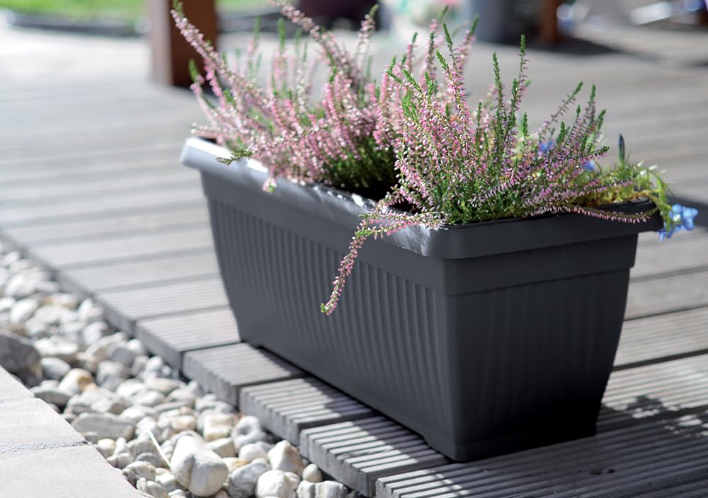 B2C Balcony box Trough Plant Pot Plastic Bel Garden Patio Planter Terra 60 70 80cm Rectangle Classic Terracotta Anthracite Long Flower Pot (Anthracite, 60cm)