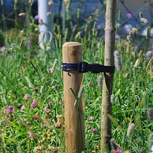 True Products 5 Pack - 1.5m (5ft) x 50mm Machined Round Wooden Treated Fence Posts Stakes Wood Fencing