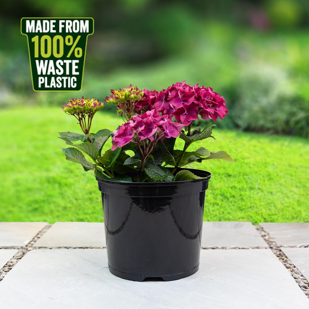 BOSMERE 7.5 Litre N203 Round Container Pot (Pack of 2), Black