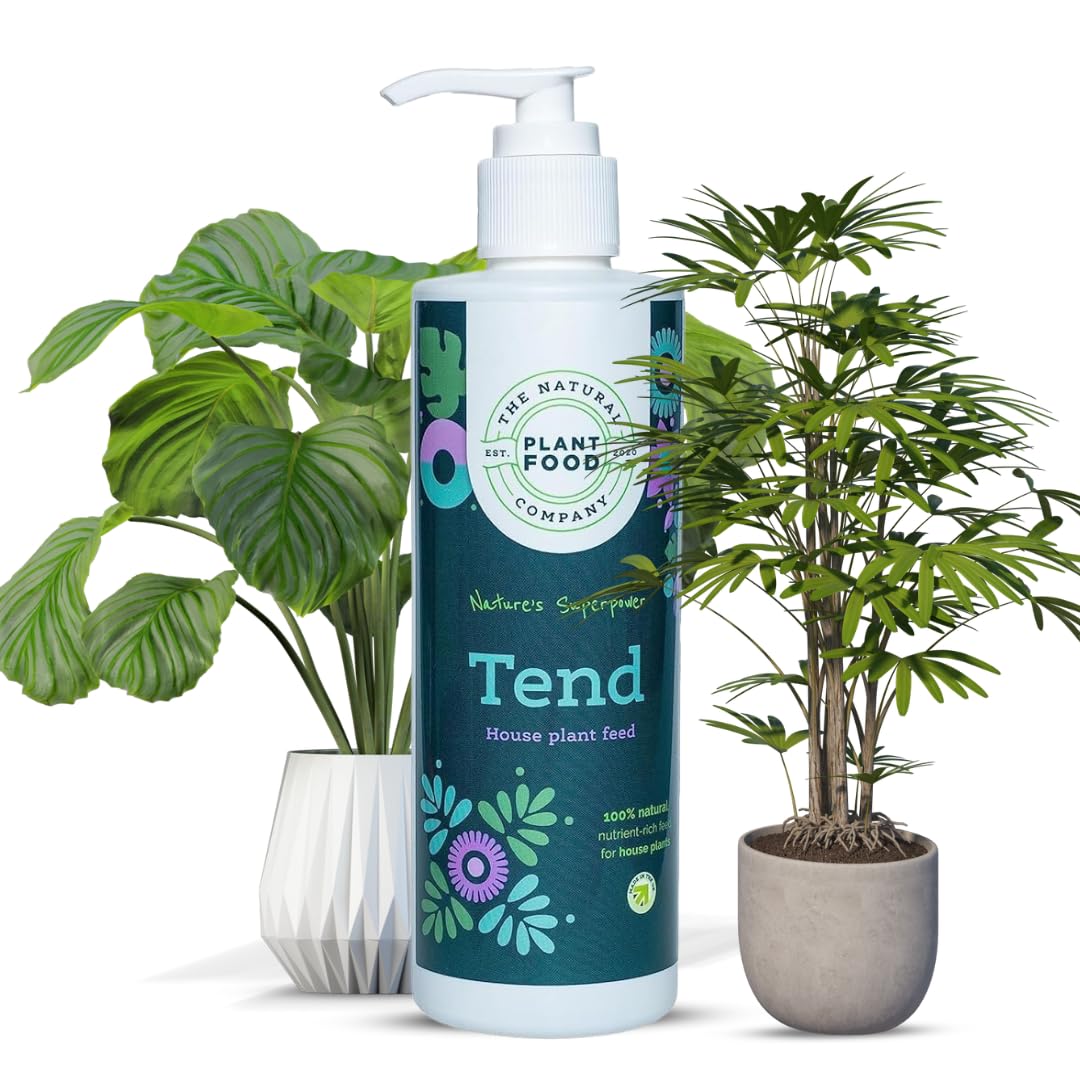 The Natural Plant Food Company | Tend House Plant Feed - 100% Natural Indoor Plant Food - With Essential Nutrients - Pet & Wildlife Friendly - Free from Peat & Synthetic Chemicals - 250ml