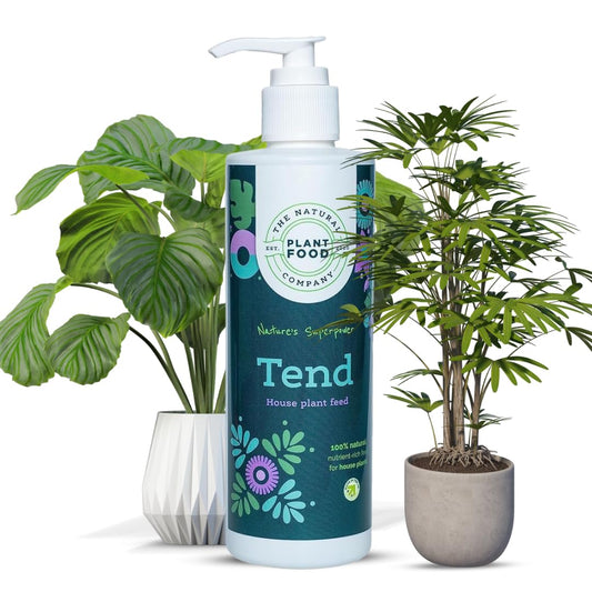 The Natural Plant Food Company | Tend House Plant Feed - 100% Natural Indoor Plant Food - With Essential Nutrients - Pet & Wildlife Friendly - Free from Peat & Synthetic Chemicals - 250ml