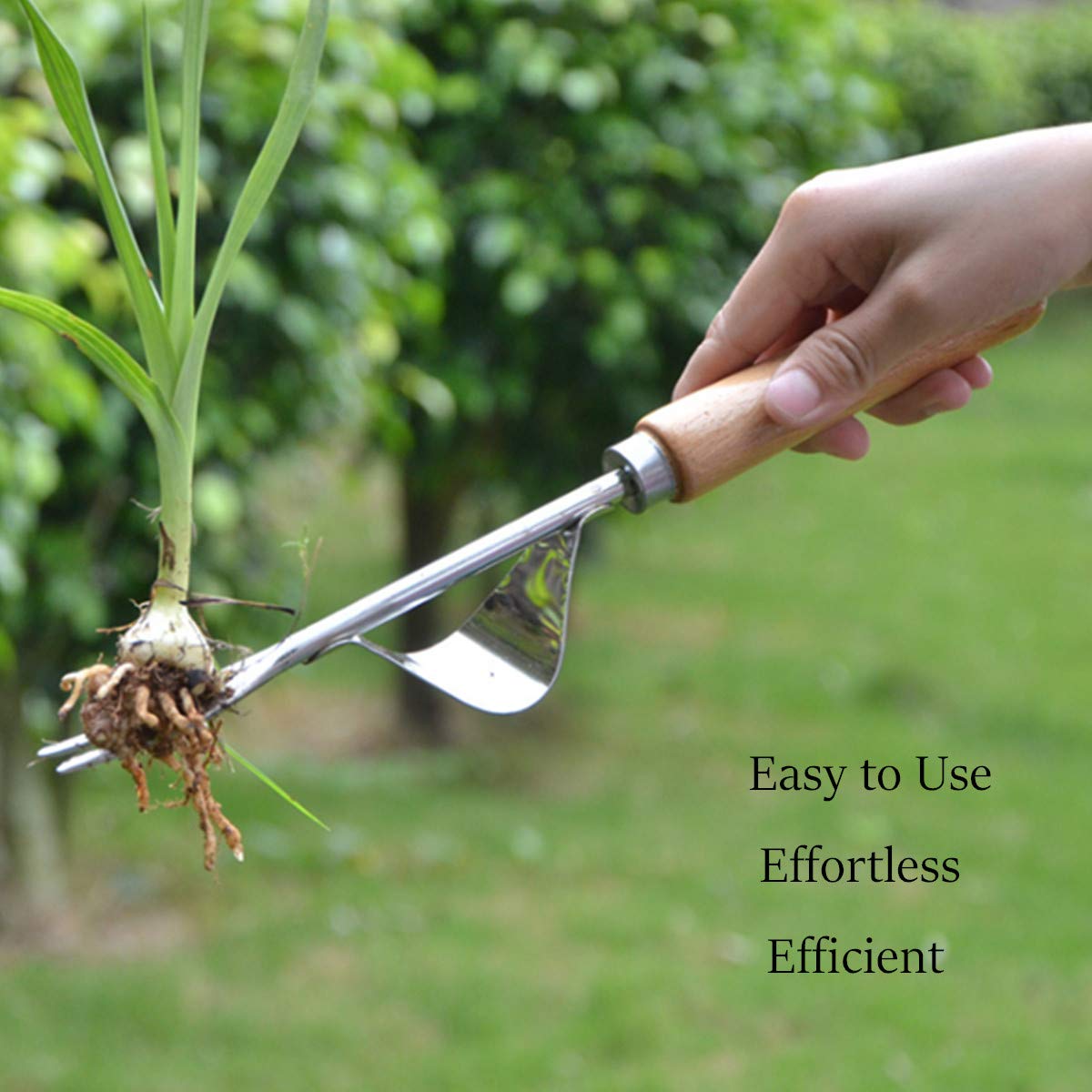 Garden Weeder Hand Weeder Fork Tool Weed Puller Removal Stainless Steel Manual Digging Dandelion Remover Tool Lawn Farmland Transplant Tool with Smooth Wood Handle
