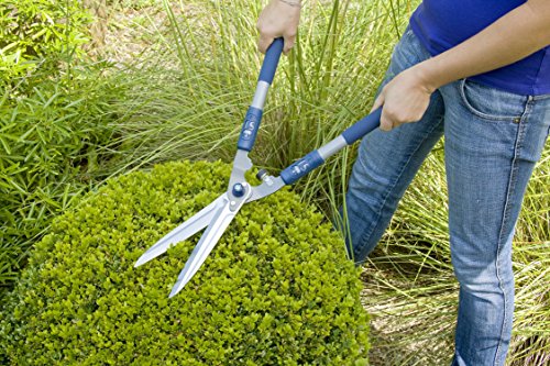 Spear & Jackson 4862RSA Razorsharp Active Soft-Grip Hand Shear