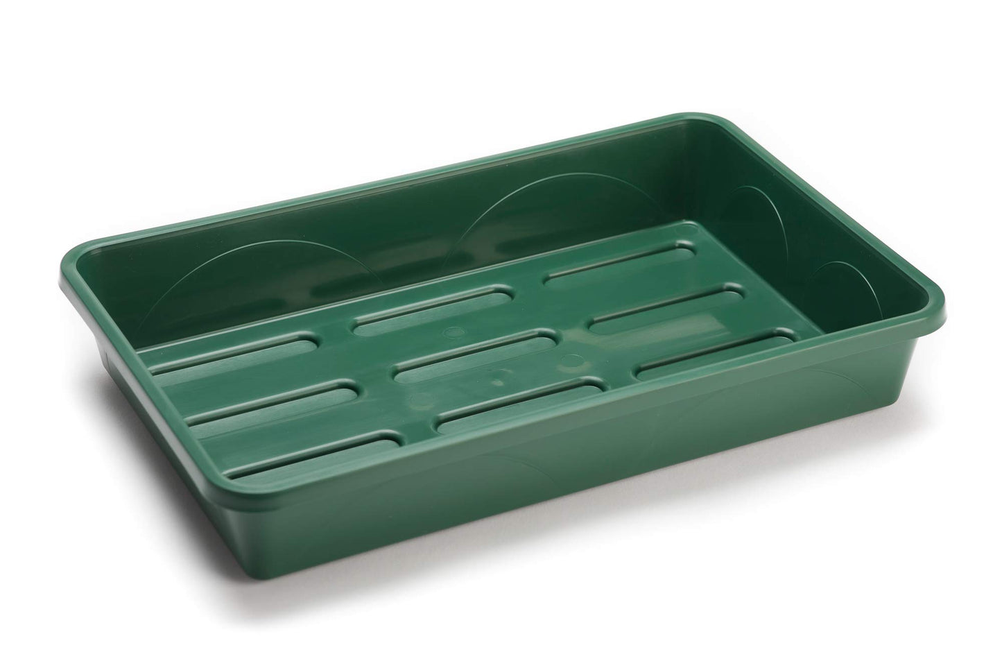 EarlyGrow MPL50031/P Medium Propagator with Shatter Resistant Lid for Seed Germination and Plant Growth - 38x24x18 Centimetres - Green