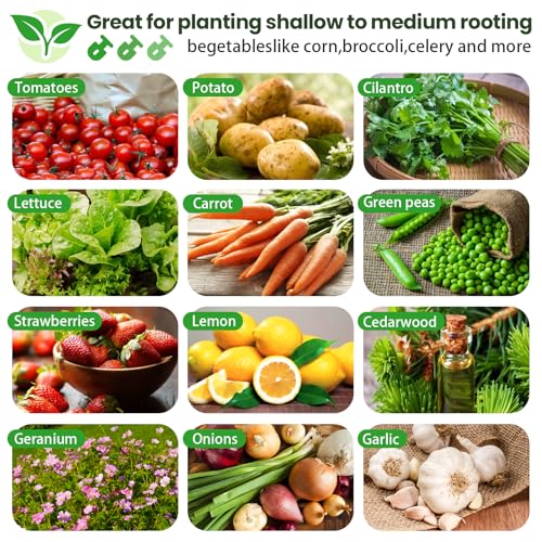 Bvewg 3 Pack 6x3FT Galvanized Raised Garden Bed Outdoor,Metal Garden Bed for Vegetables,Steel Raised Beds for Gardening,Above Ground Box for Flower