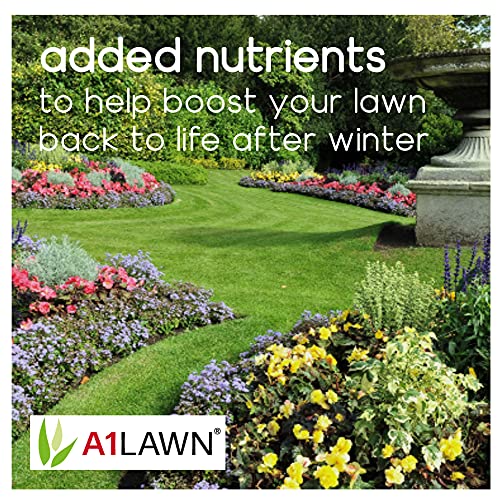 A1 Lawn Ultimate Spring Summer Lawn Fertiliser, 10kg (280m2) – 10-4-4 Nitrogen-Rich Lawn Feed with Potassium & Phosphorus to Boost Lawn Growth After Colder Months – UK Professional Grade