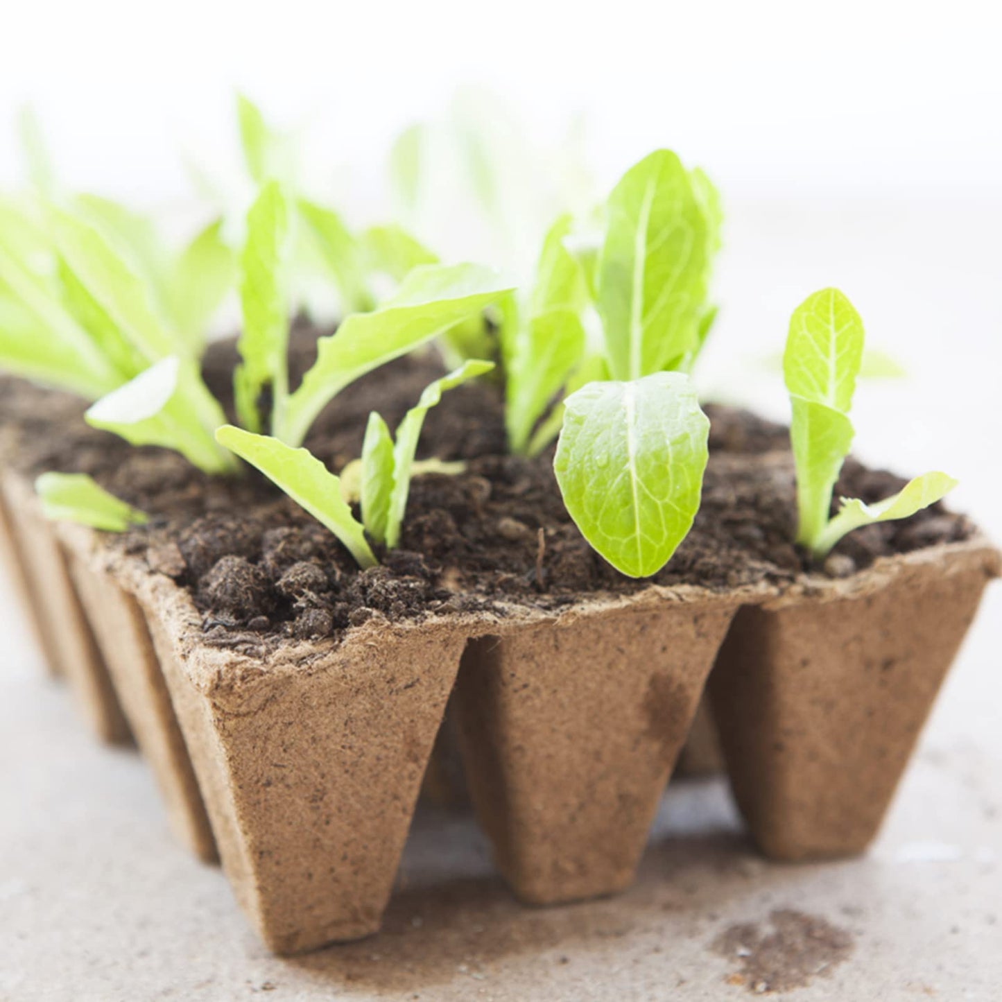 KINGLAKE 20 Pack 240 Cells Seed Trays Seedling Pots Biodegradable Plant Pots Fibre Seed Pots, Plant Germination Module Trays Kits with 100 Plant Labels, Transplanting Widger and Dibber