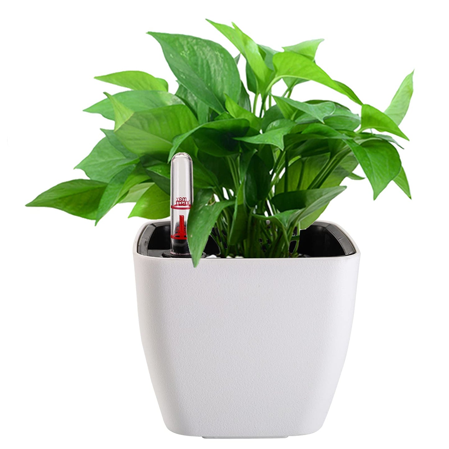 Yarlung Self Watering Planters with Water Indicator – 5 Inch, 6 Pack