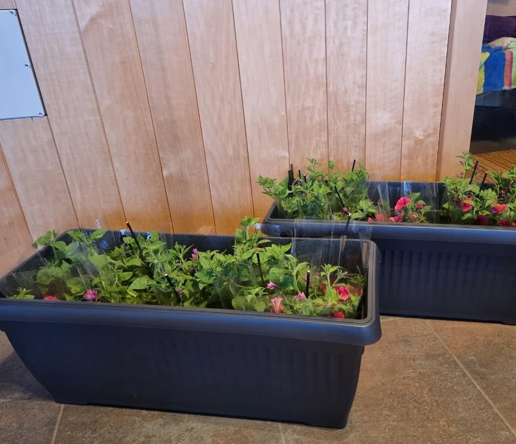 B2C Balcony box Trough Plant Pot Plastic Bel Garden Patio Planter Terra 60 70 80cm Rectangle Classic Terracotta Anthracite Long Flower Pot (Anthracite, 60cm)