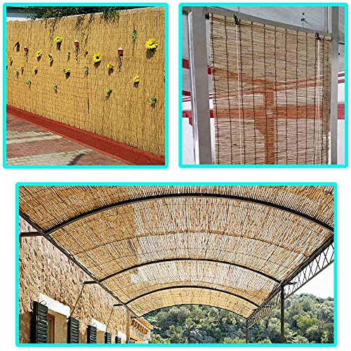 SASONS® Quality Garden Natural Peeled Reed Fence Screen Roll Panel Best for Outdoor Privacy, Fencing Screening Wooden Fence Walls Sun/Wind Protection [ 1 x 4 meter ]