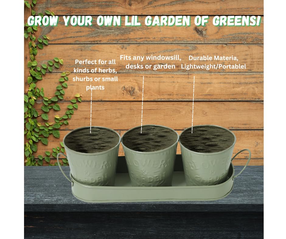 Trendi – Set of 3 Metal Plant Pots with Drip Tray | Embossed Indoor & Outdoor Plant Pots for Garden, Windowsill, Kitchen & Desk | Decorative Metal Flower Pots for Herbs & Plants | Olive Green