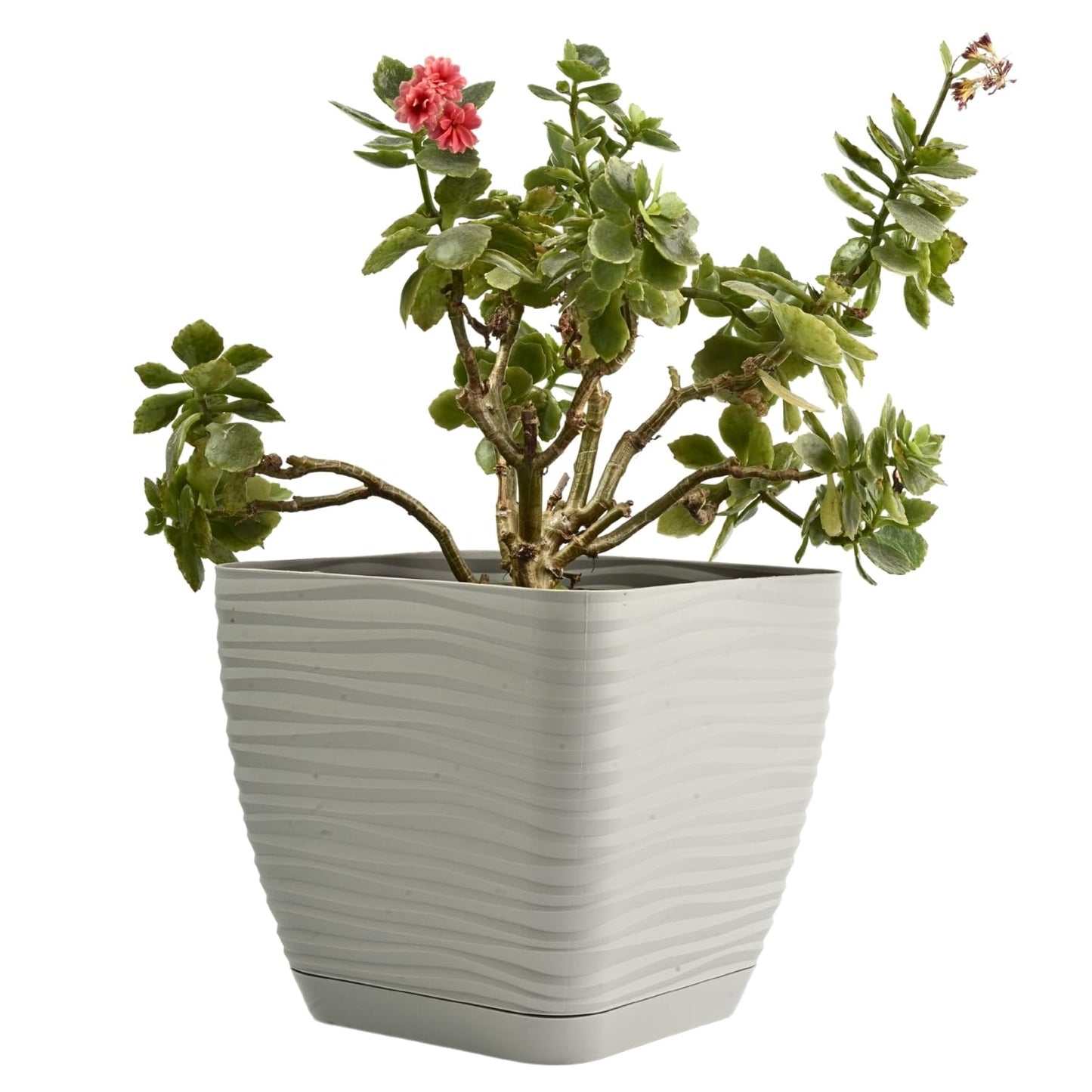 B2C Plant Pot Flowerpot Square Plastic Modern Decorative Wave Grooves Textured Elegant & Modern With Saucer (Light grey, 13cm)