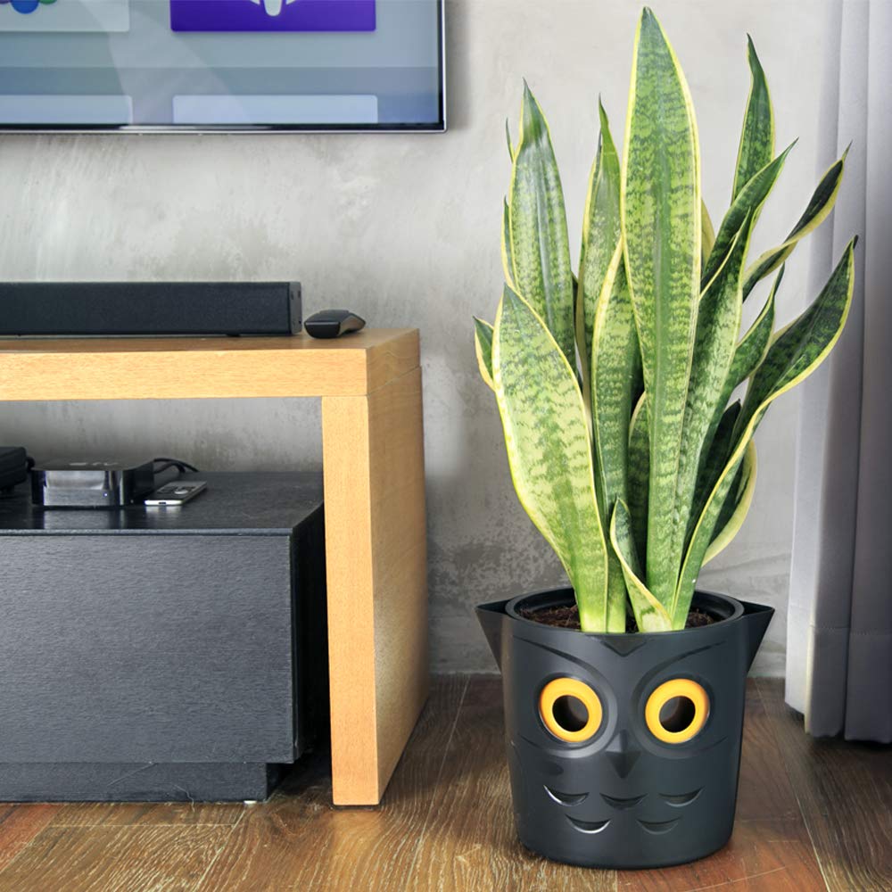 GVG Self Watering Pots Owl Pot Smart Well Aerating High Drainage Animal Planter Black Halloween Pot Large Plastic Plant 25cm Ideal Many Flowers African Violets Orchid Lily