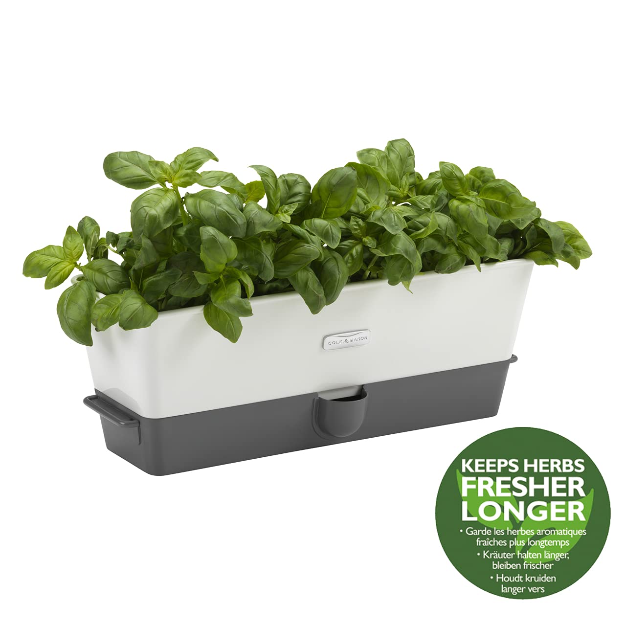 Cole & Mason Burwell Self-Watering Potted Herb Saver, Windowsill Herb Planter Herb Box/Indoor Herb Garden, Triple, Suitable for 3 pots (85 mm), Includes 12 x Pads, White/Grey