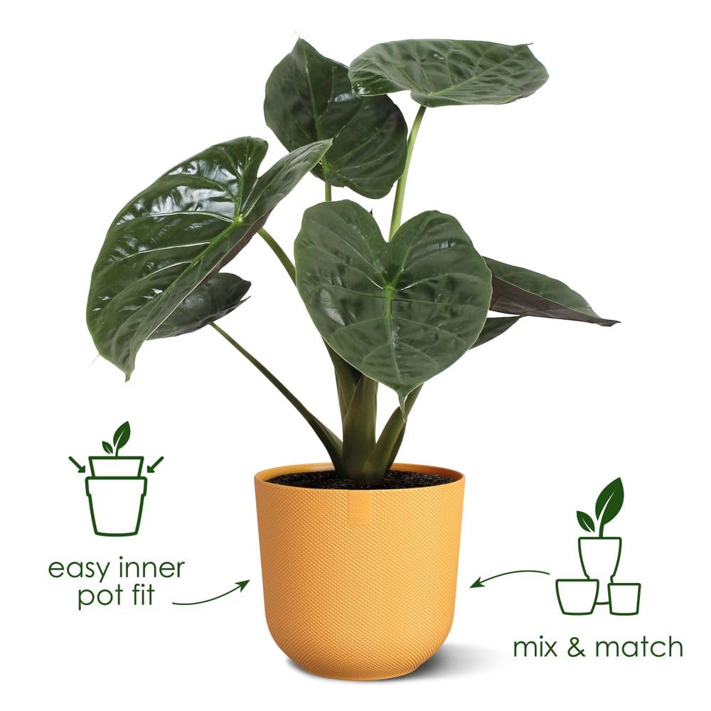 elho Jazz Round 14cm Flower Pot - Small Indoor Plant Pot - 100% Recycled Plastic - Unique Structure - Ø 14.2 x H 13.1 cm - Yellow/Amber Yellow