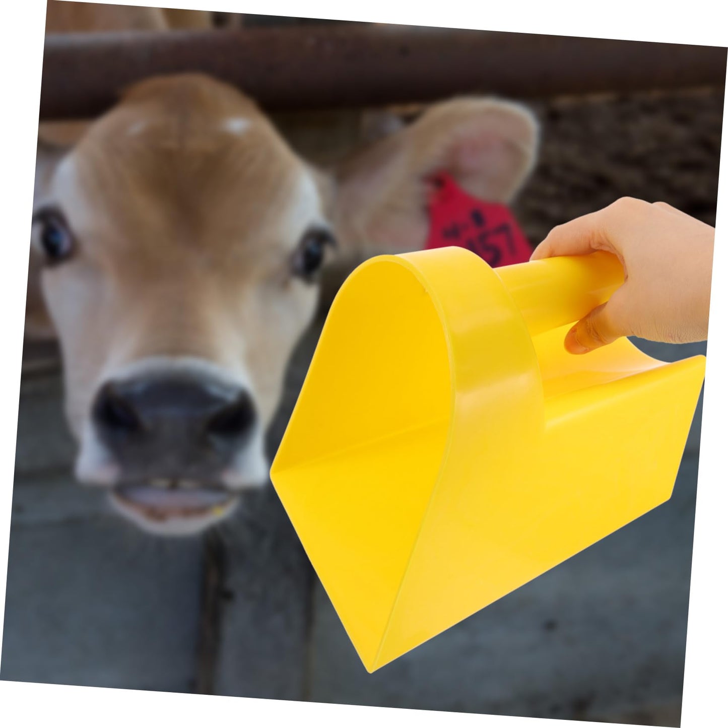 BESPORTBLE Heavy Duty Large Handheld Scoop for Garden Household Farm Livestock Feeding