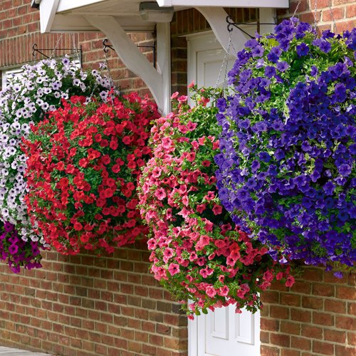Set of 4 x 15" Easy fill Hanging Baskets