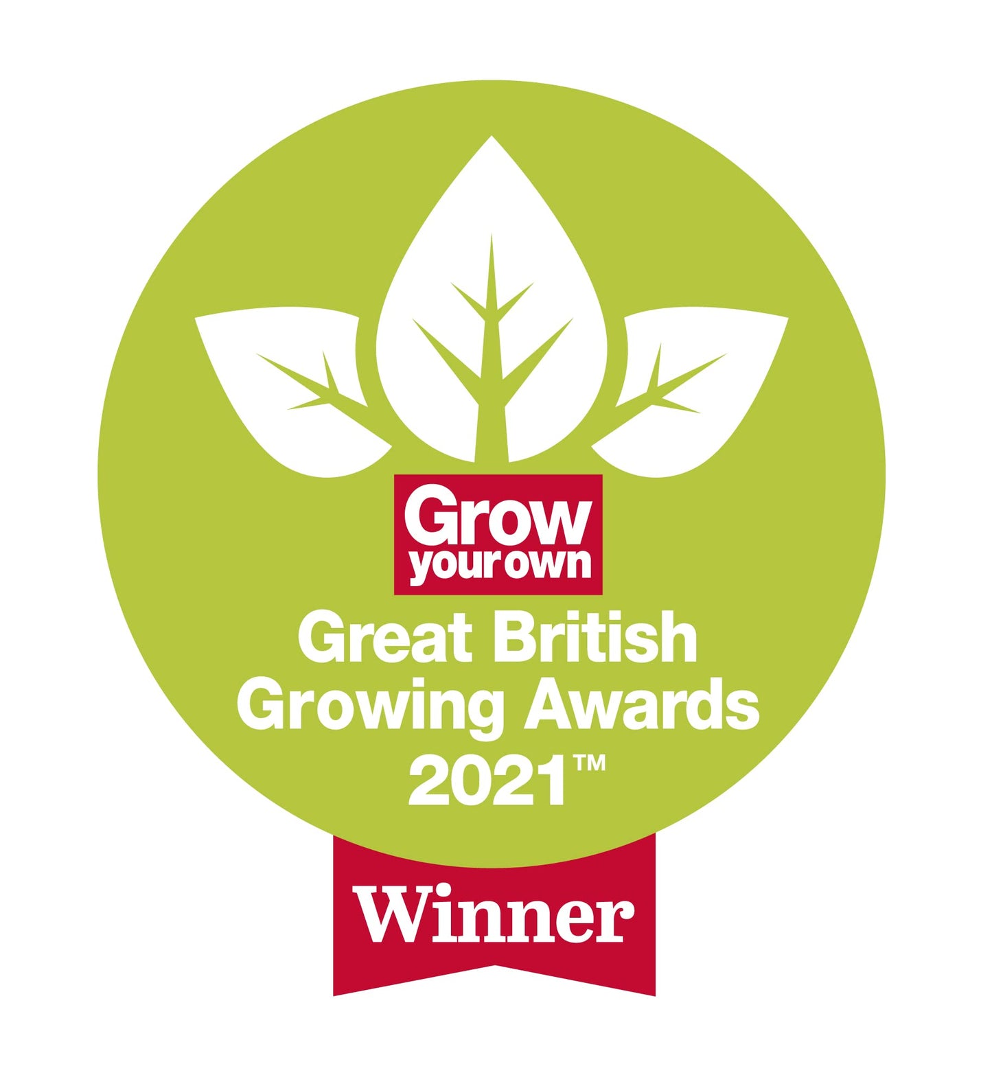 Spear & Jackson 1175AE Neverbend Professional Digging Spade, Grey