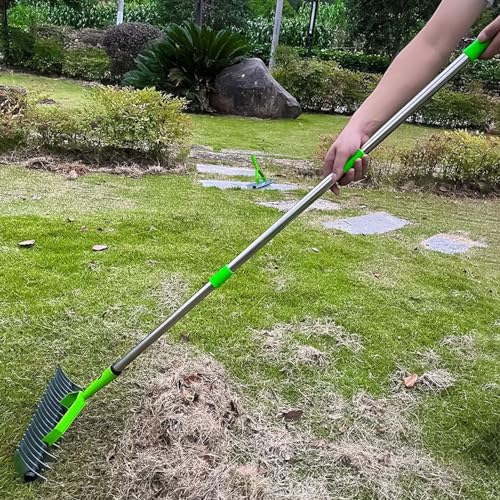 Stainless Steel Thatch Rake with Curved Steel Tines, Dethatcher Lawn Rake for Clearing Dead Grass, Ergonomic Handle, 3 Sections Rods, for Thatching, Fertilizing, Reseeding Tilling