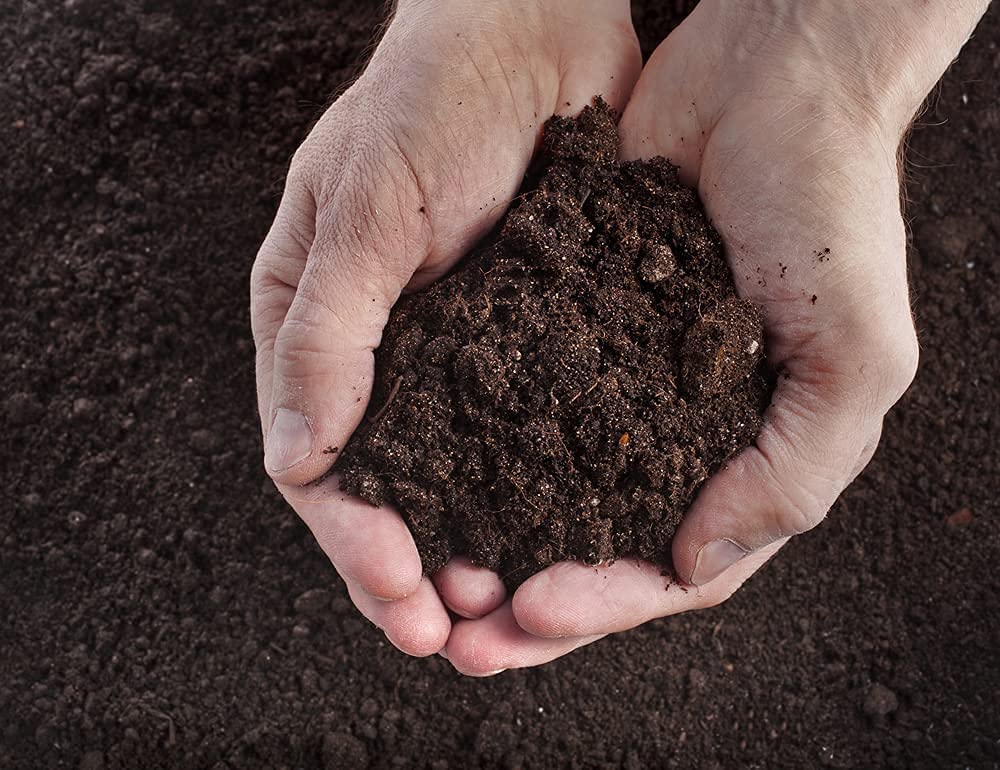 Multi-Purpose Growmoor Compost Soil Contains Nutrients for Plants - Nutrient Rich Compost Mix for Potting, Growing Garden, Plant Beds, Hanging BasketsOutdoor, Indoor Seed Plants (1, 60L)