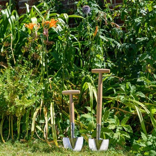 RHS Perennial Spade Small - FSC 100%