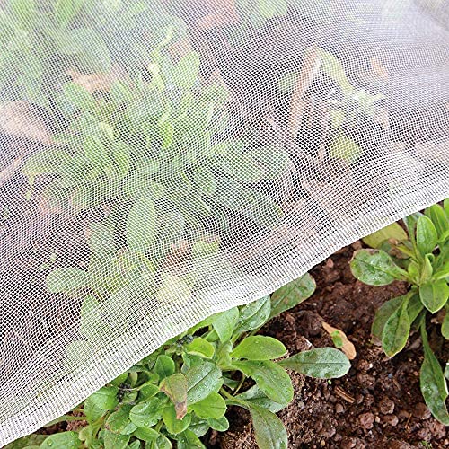 Garden Insect Netting Fine Mesh 1.5x5m