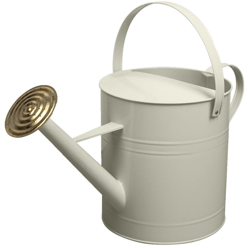 CrazyGadget® Garden Plant Flower Colour Galvanised Metal Steel Watering Can 9L 9 Litre / 2 Gallon with Brass Rose (Cream)