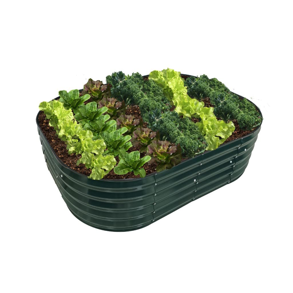 Garden Gear Galvanised Metal Raised Vegetable Flower Planter Trough Grow Bed Box Set up Six Shapes Outdoor Herb Garden in Hunter Green (Hunter Green x2)