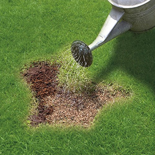 Miracle-Gro Patch Magic Grass Seed, Feed and Coir, 1015 g, Green