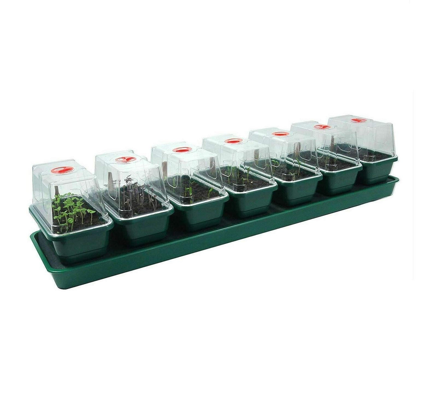 Garland GAL16SW Super 7 Self-Watering Windowsill Propagator - Green