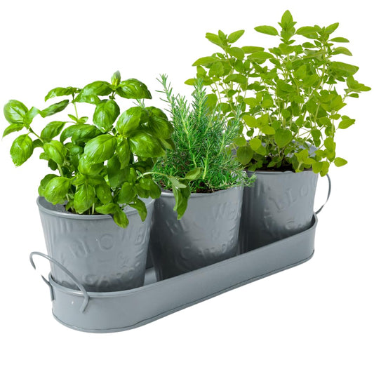 Trendi – Set of 3 Metal Plant Pots with Drip Tray | Embossed Indoor & Outdoor Plant Pots for Garden, Windowsill, Kitchen & Desk | Decorative Metal Flower Pots for Herbs & Plants | Light Green