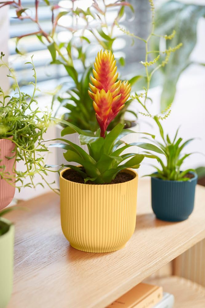 elho Vibes Fold Round 14 - Flower Pot from 100% Recycled Plastic - Indoor plant pot - Ø 14.1 x H 12.9 cm - Yellow/Butter Yellow