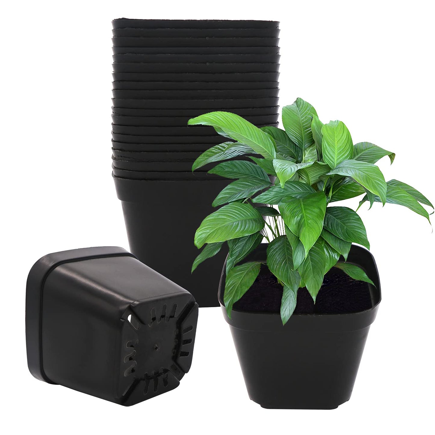 GGOUPTY Plastic Square Plant Pots 10 cm 25 Pcs Succulent Planter Nursery Pots for Flower Staring Seedling
