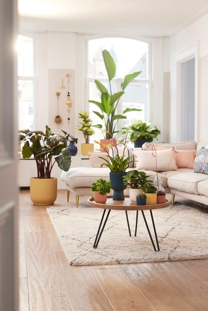 elho Vibes Fold Round 25 - Flower Pot from 100% Recycled Plastic - Indoor plant pot - Ø 25.0 x H 23.0 cm - White/Silky White