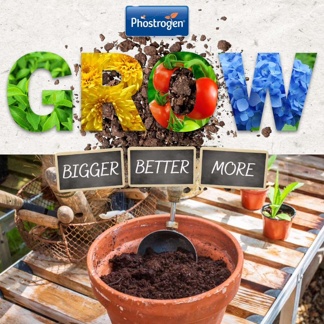 Phostrogen All Purpose Liquid Plant Food, 1L - Plant and Edibles Fertiliser Feed - for Promoting Healthy Growth - Improves Drought Resistance - Plant Nutrition - Indoor and Garden Use, Orange