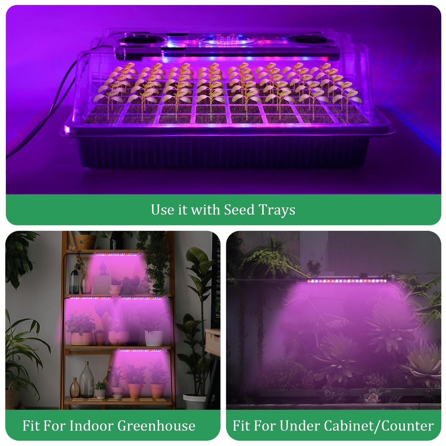 Verdenu Seed Trays with Grow Light, 2 Pack 80 Cells Propagators for Plants with Heightened Lids, Adjustable Brightness Propagator with Smart Timer, 3 Modes, 4 Timing, Seed Starter Tray for Seedlings