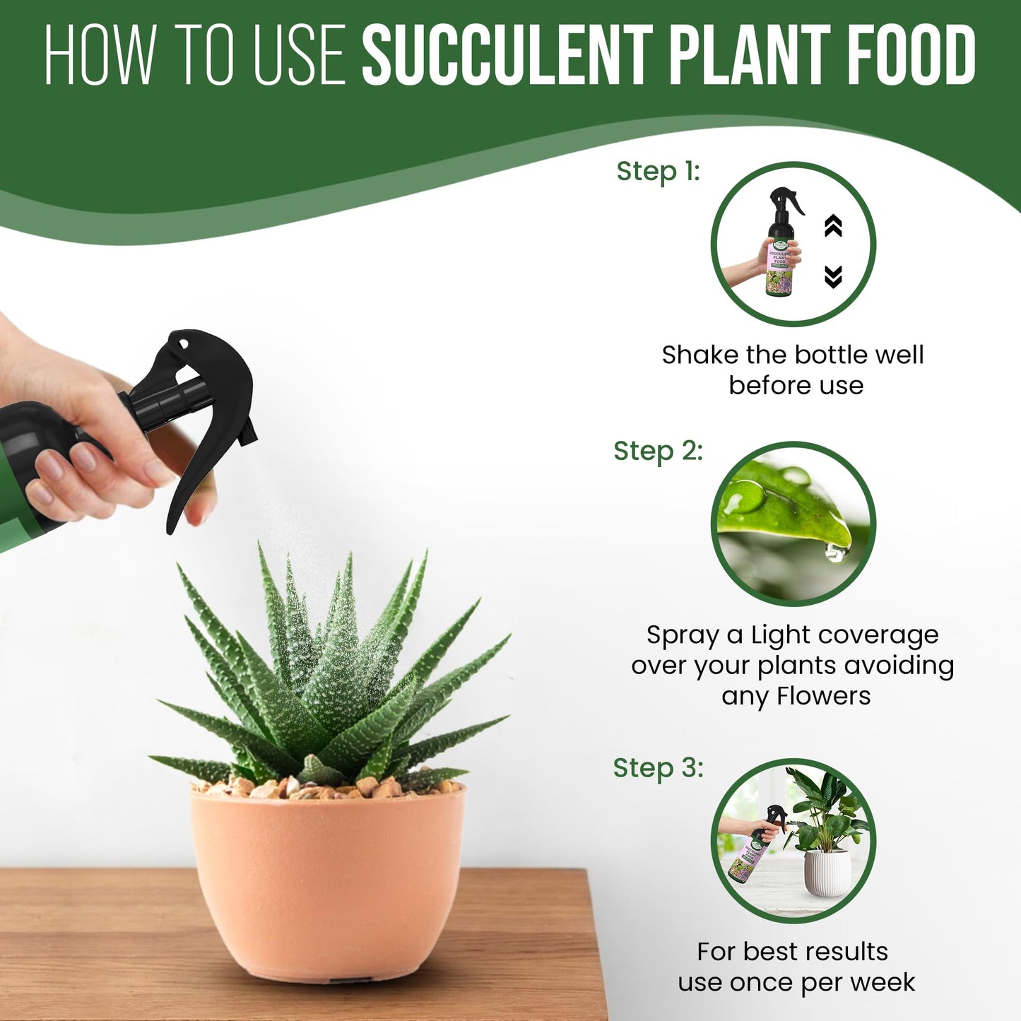 Growlands Succulent Food - 300 ml - Organic Indoor Plant Liquid Spray Fertilizer - Designed for Houseplants - Ready to Use Mist Spray - Promotes Growth and Health