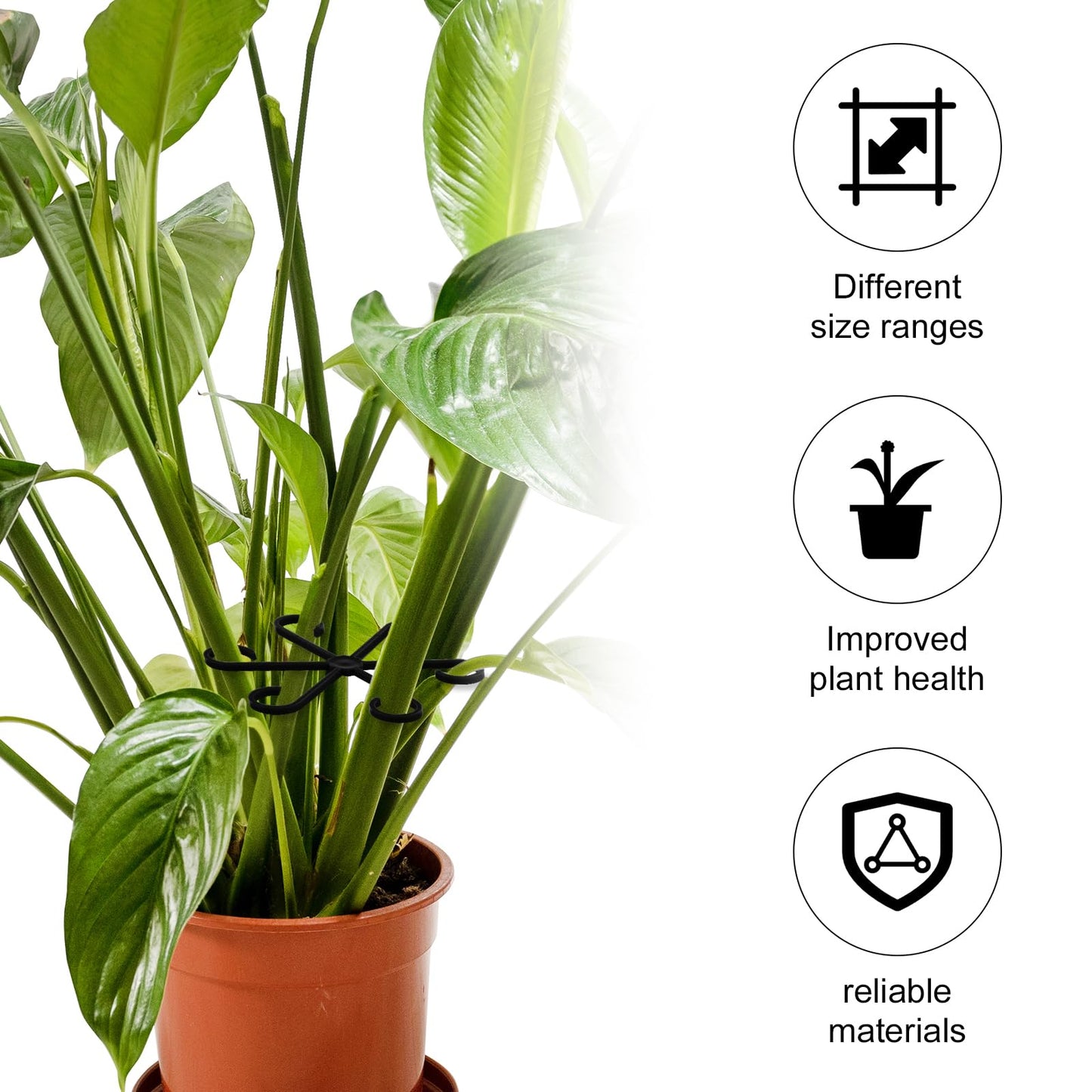 PEUTIER 4pcs Climbing Houseplant Stem Supports, Plastic Plant Climbers Stem Holders Reusable Plant Stem Hook Growth Accessories for Plant (black)