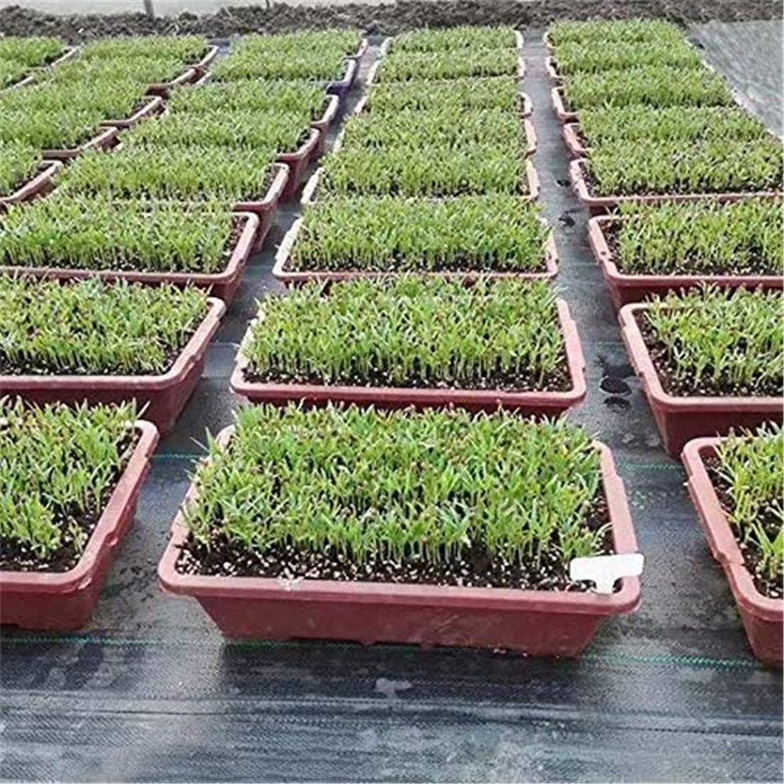 Weed Control Membrane Fabric Landscape Ground Barrier Cover, UV Stabilished Black Heavy Duty Garden Woven Covers 2MX5M