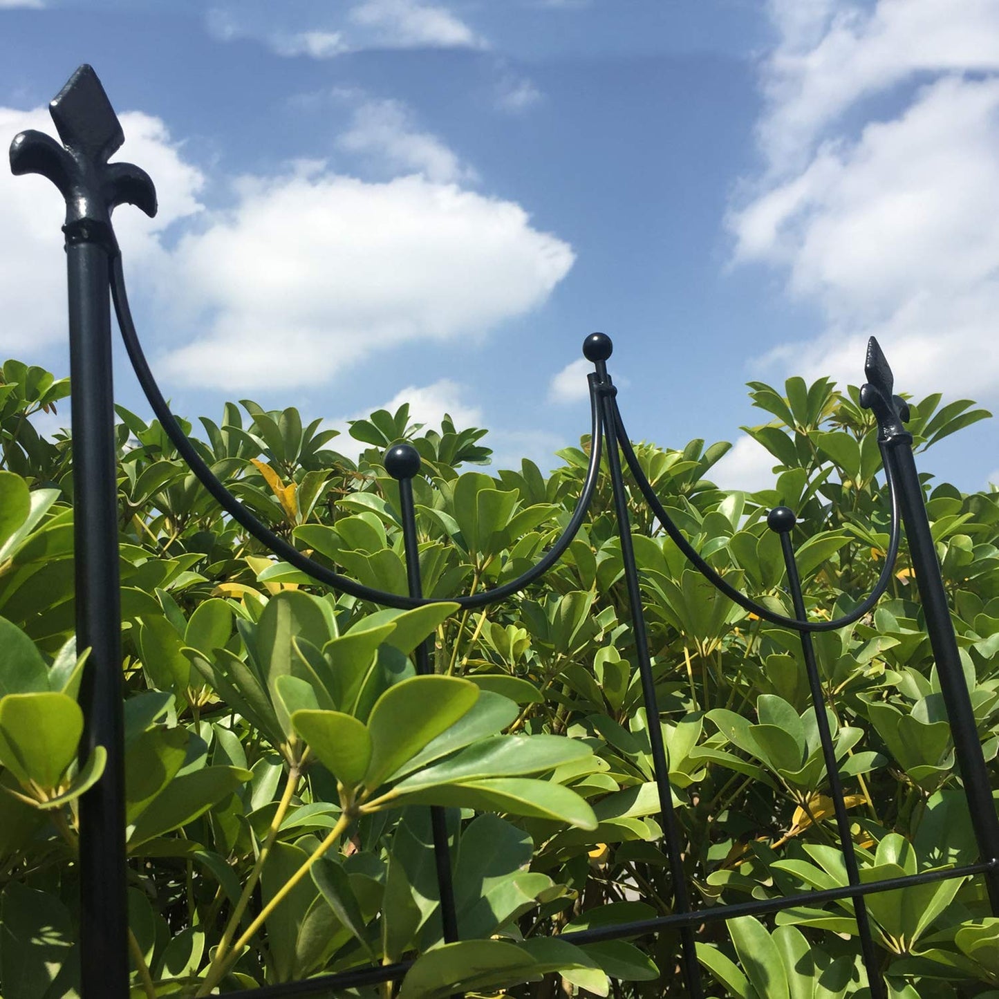 OUTOUR Larger Garden Trellis Plant Support Wire Lattice Grid Panel Stake Fence, 72"x20", for Climbing Plants, Potted Vines Vegetables Vining Flowers Ivy Roses Clematis, Lawn Backyard Patio, Black