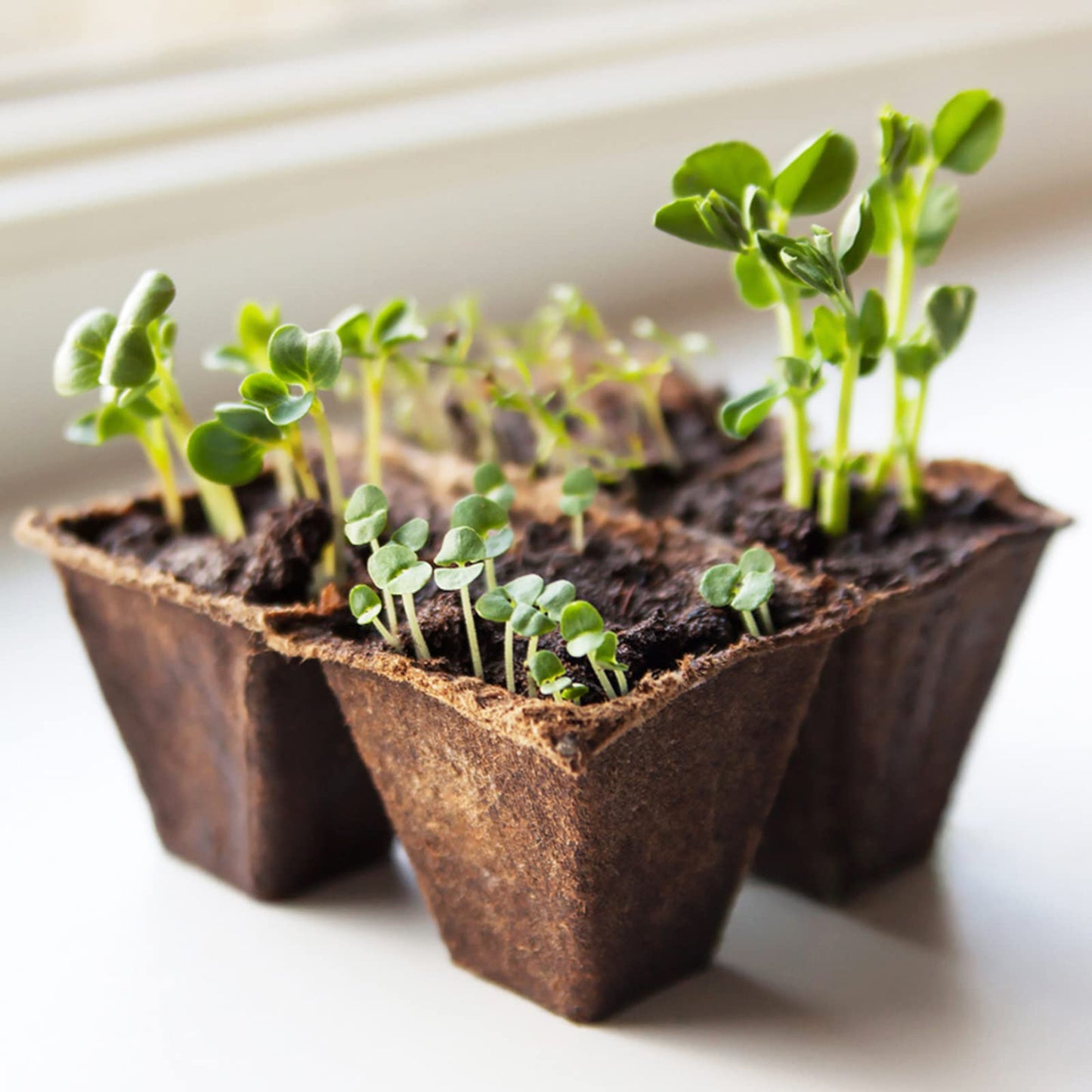 KINGLAKE 20 Pack 240 Cells Seed Trays Seedling Pots Biodegradable Plant Pots Fibre Seed Pots, Plant Germination Module Trays Kits with 100 Plant Labels, Transplanting Widger and Dibber