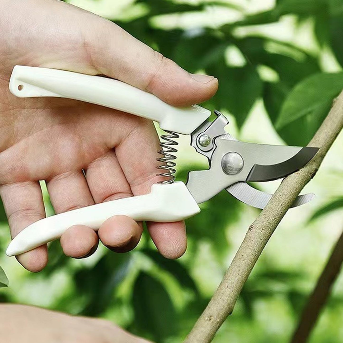 Garden Secateurs Pruning Shears Garden Scissors with Safety Locking Device Hand Pruners Tree Trimmer for Trimming Plants Fruits Picking Hedges and Flowers